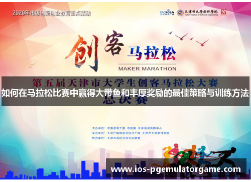 如何在马拉松比赛中赢得大带鱼和丰厚奖励的最佳策略与训练方法