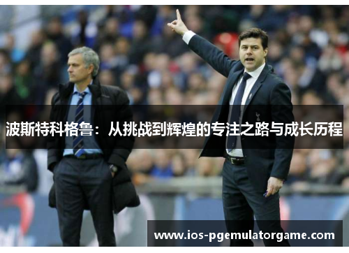 波斯特科格鲁：从挑战到辉煌的专注之路与成长历程